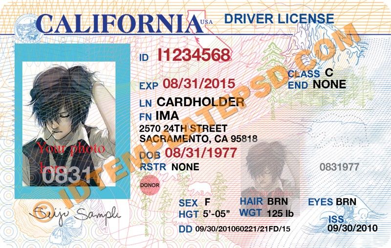 california driver license blank psd template